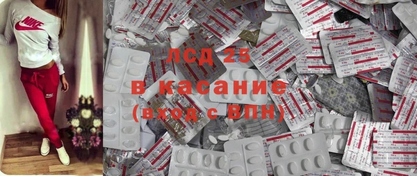 PSILOCYBIN Вязьма
