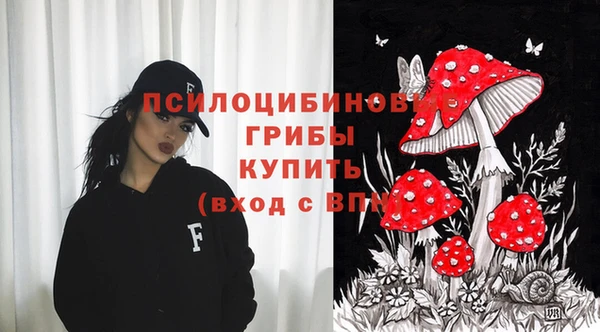 PSILOCYBIN Вязьма