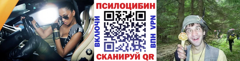 закладка  Салават  Псилоцибиновые грибы GOLDEN TEACHER 