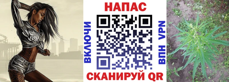 ссылка на мегу ТОР  Салават  Канабис план  купить наркотик 